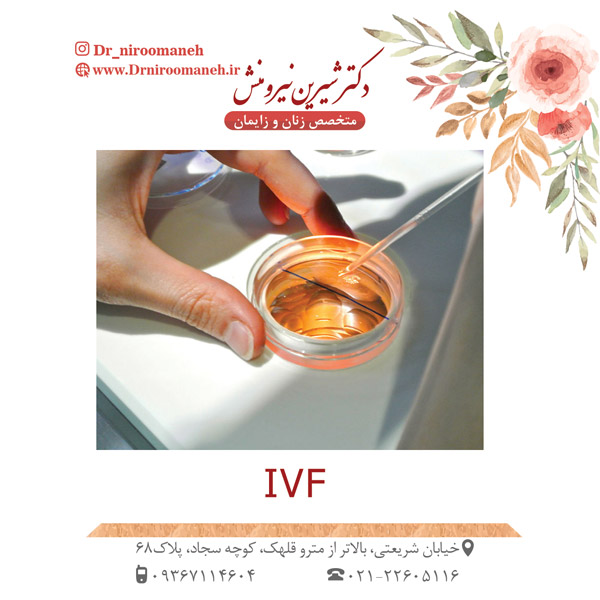 IVF