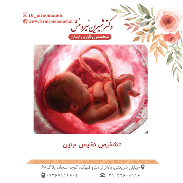 عکس تشخیص نقایص جنین