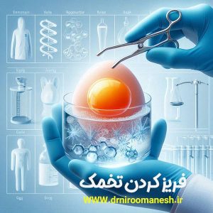 عکس فریز کردن تخمک - دکتر شیرین نیرومنش